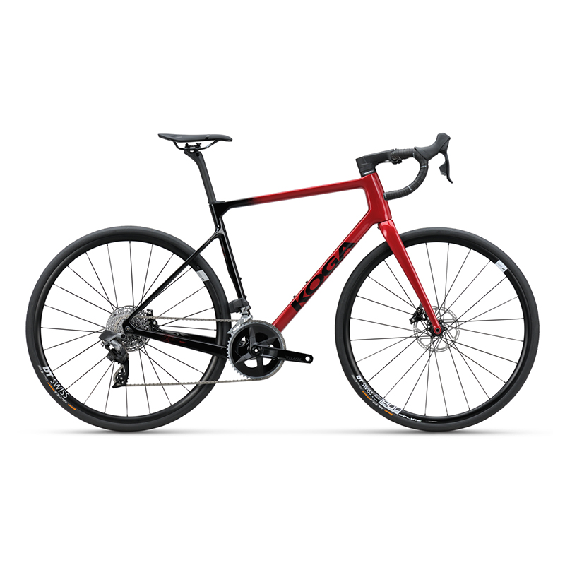 koga roqa premium